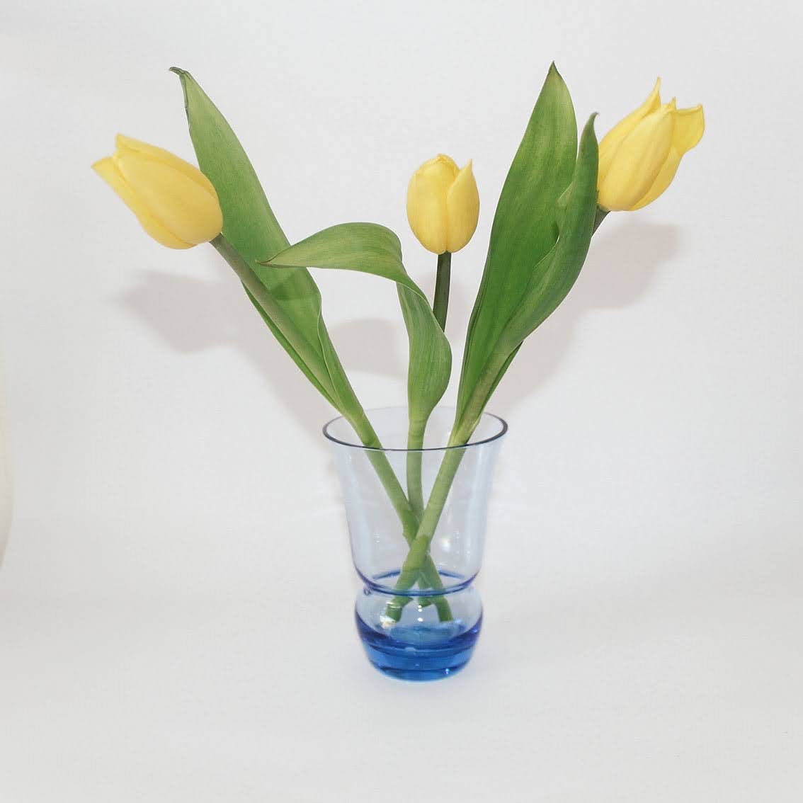 FLORERO AZUL