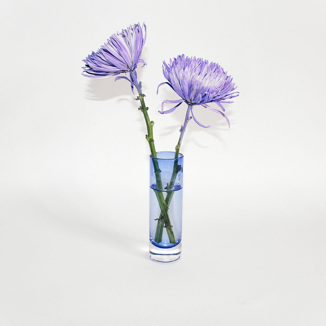FLORERO AZUL